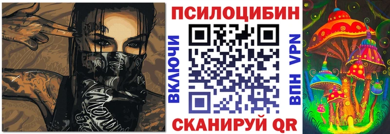 Псилоцибиновые грибы мицелий  Кохма 