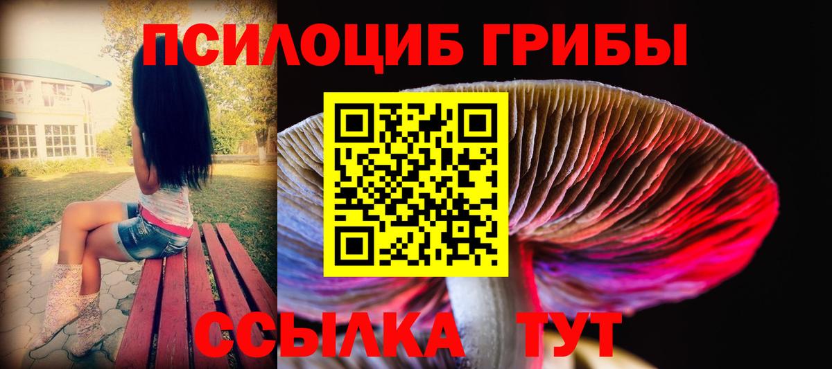 Кохма  Галлюциногенные грибы GOLDEN TEACHER  Вход с VPN  Псилоцибиновые грибы GOLDEN TEACHER 