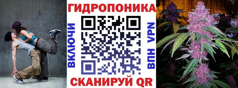 Конопля семена  наркошоп  Кохма 