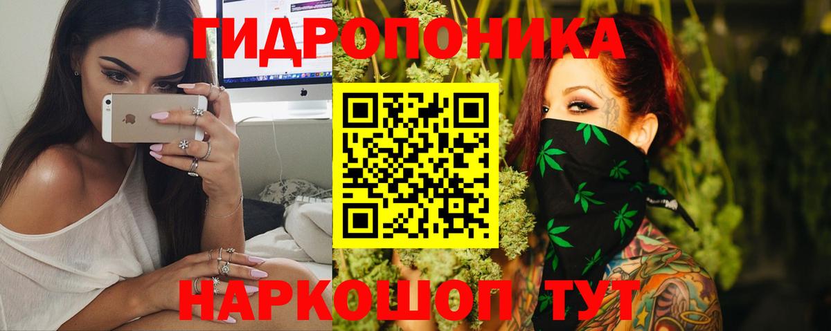 МАРИХУАНА AK-47  Вход с VPN  Канабис Ganja  Марихуана индика  Бошки Шишки марихуана  Кохма 